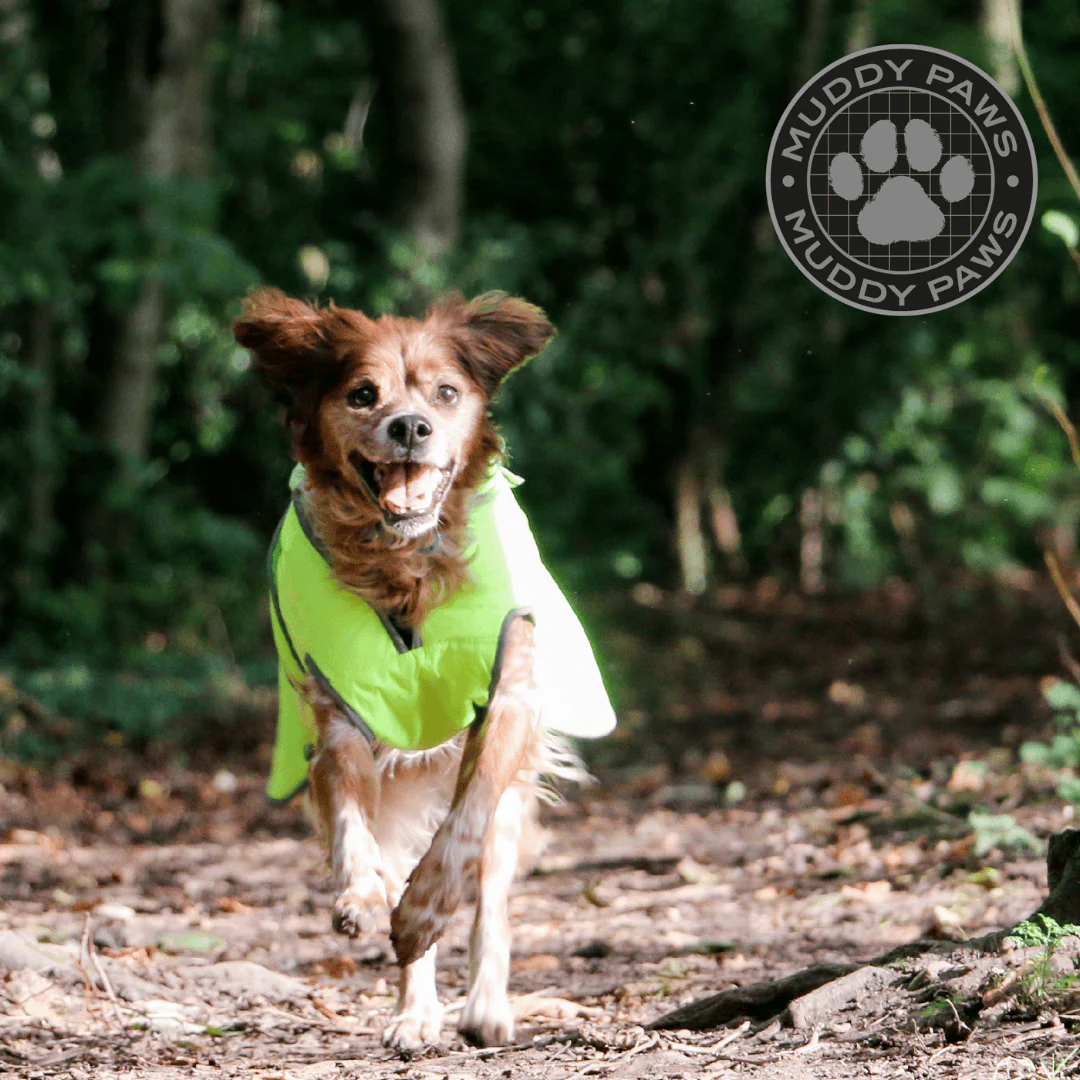 Ancol Stormguard Hi Vis Dog Coat - Image 4