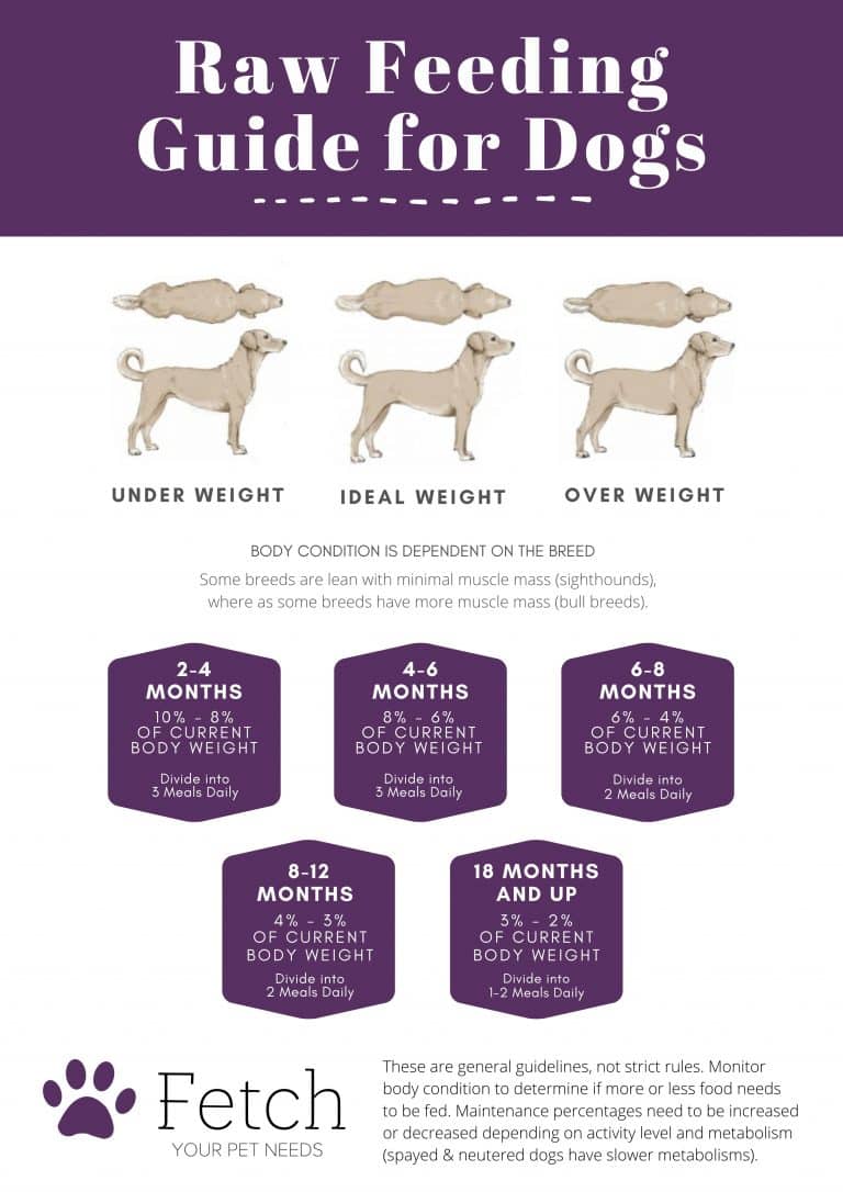 Approved Raw Dog Food Three Bird Mix - Image 4