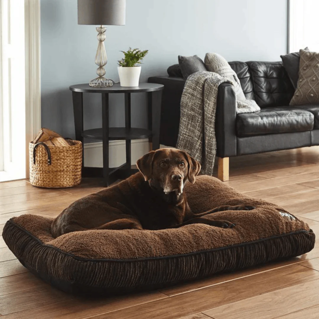 Bunty Snooze Dog Mattress - Image 7