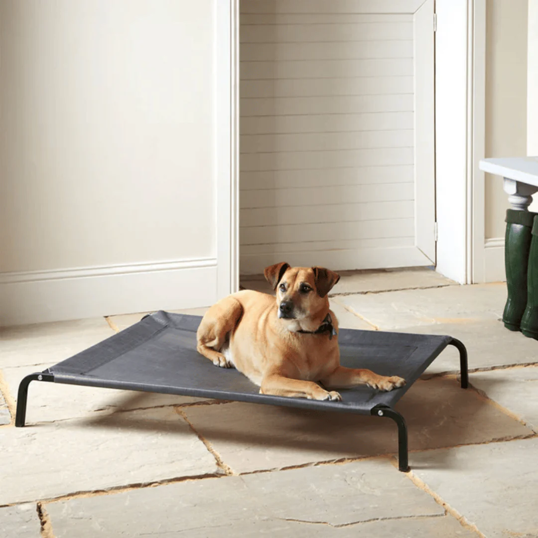 Elevated Dog Bed - Image 3