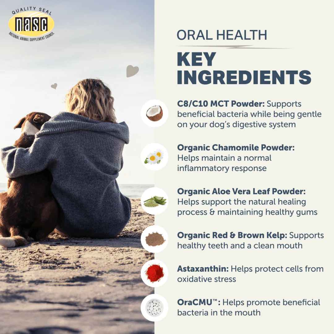 Four Leaf Rover - Oral Health - Image 4