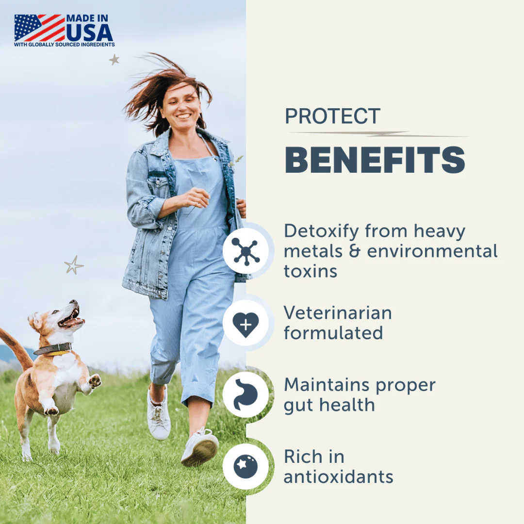 Four Leaf Rover - Protect - Soil Based Pro & Prebiotics - Image 3