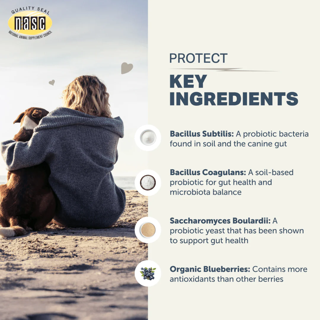 Four Leaf Rover - Protect - Soil Based Pro & Prebiotics - Image 4