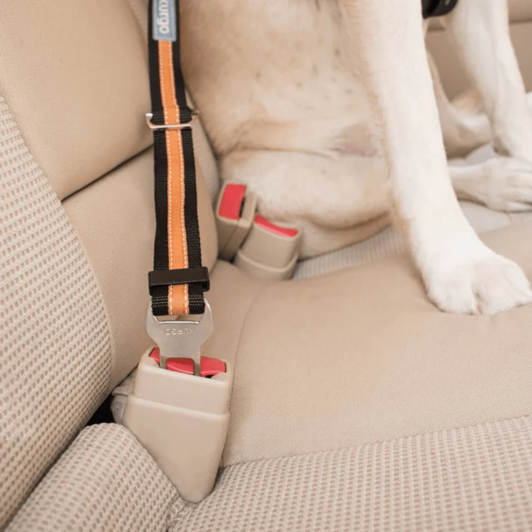 Kurgo Dog Seat Belt | Direct to Seatbelt Tether - Image 4