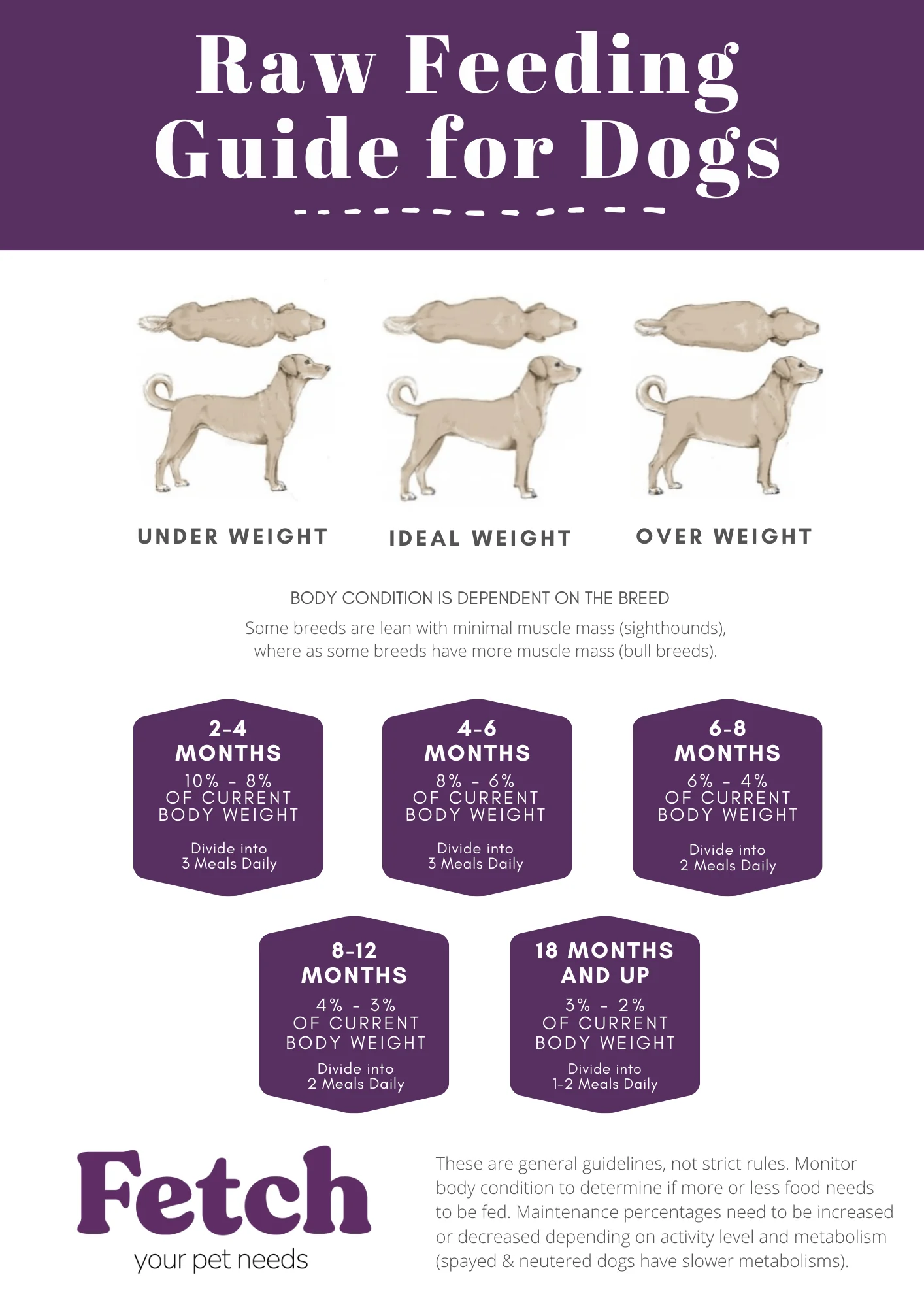 Naked Dog Raw Pure Beef 1kg - Image 4
