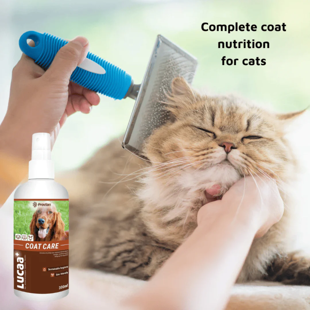 Natural Coat Care Spray |Provilan Lucaa+ - Image 4