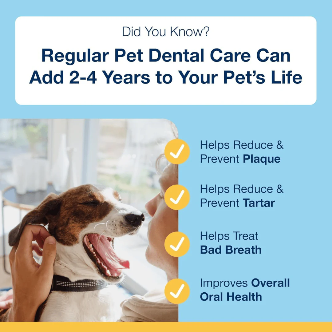 ProDen PlaqueOff Dental Powder - Image 5