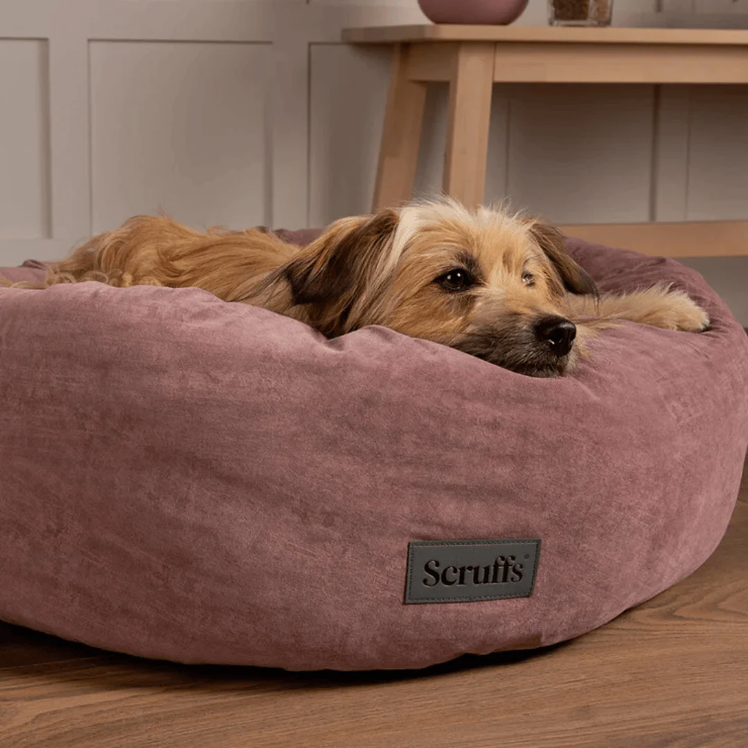 Scruffs Oslo Bed - Image 3