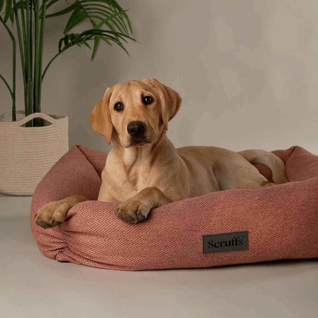 Scruffs Seattle Box Bed - Image 5
