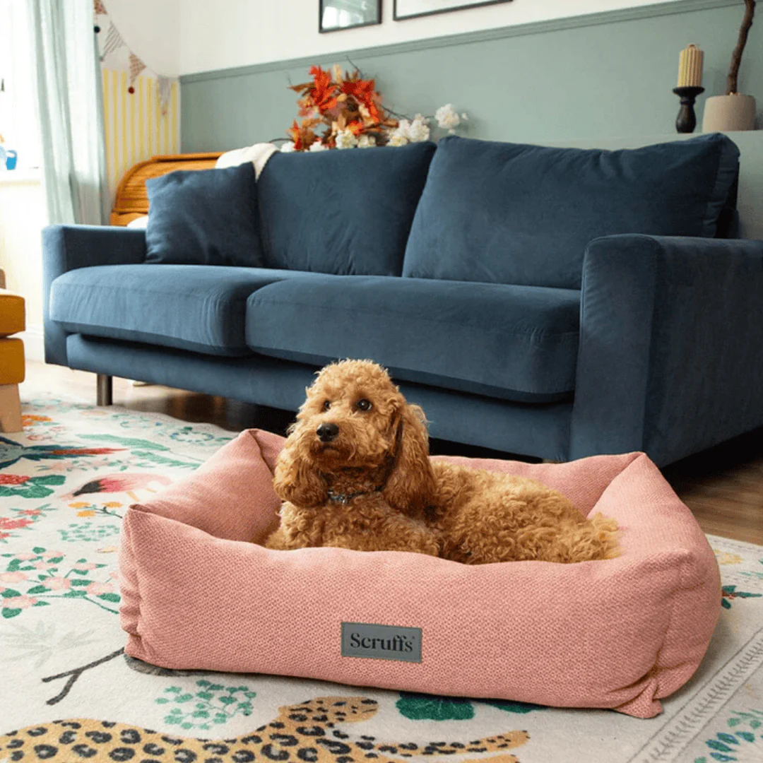 Scruffs Seattle Box Bed - Image 8