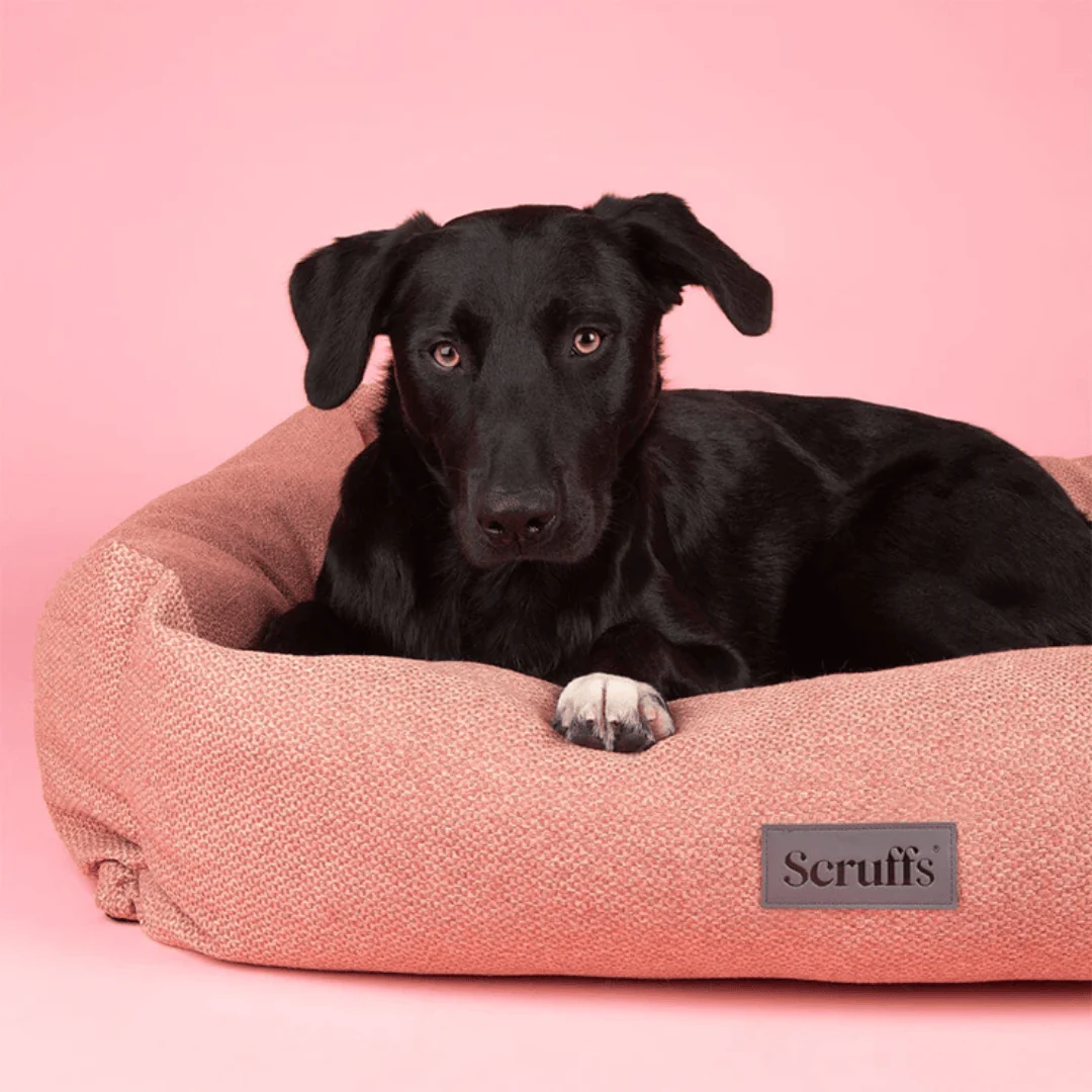 Scruffs Seattle Box Bed - Image 9