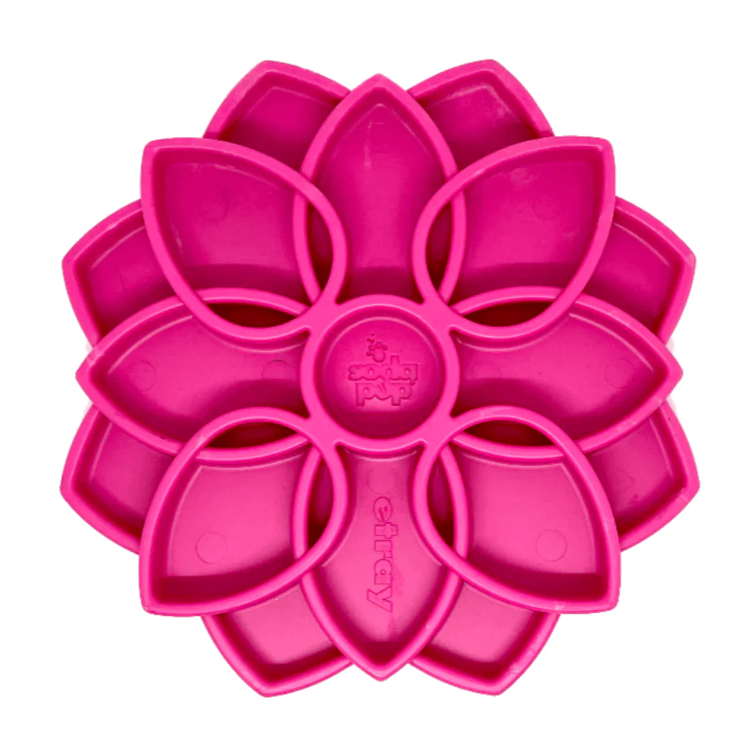 SodaPup Mandala Enrichment Tray - Image 4